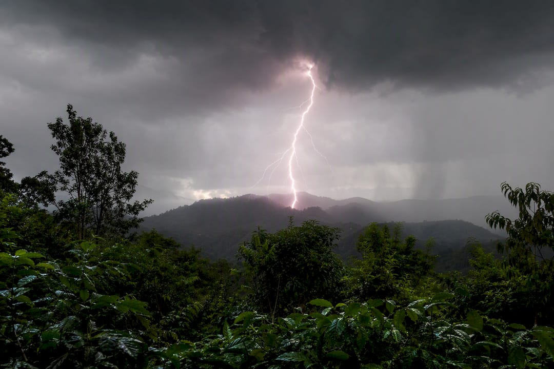 Lightning striking tropical rainforest landscape
