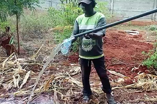 Indelec paratonnerre